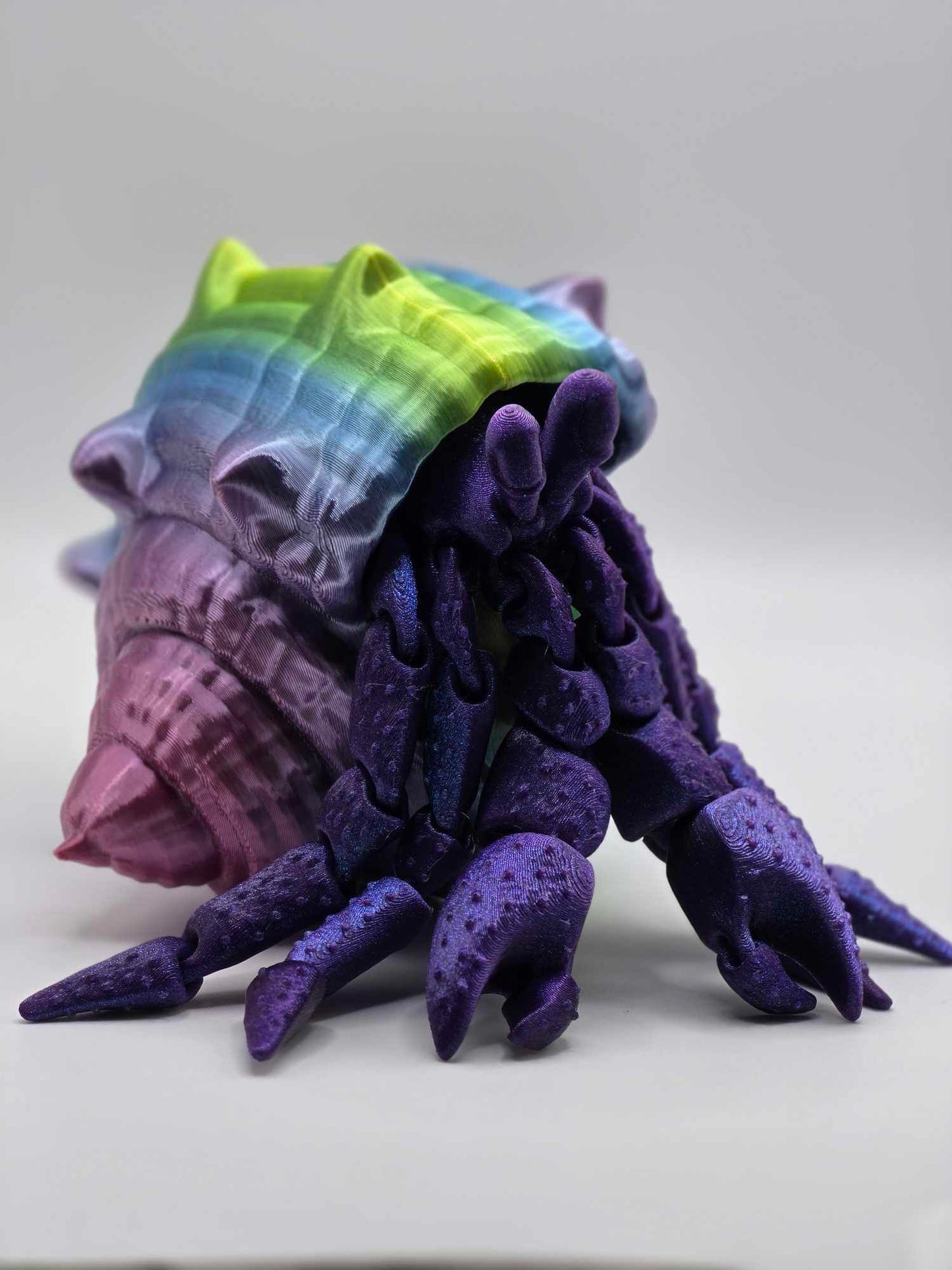 A Hermit Crab