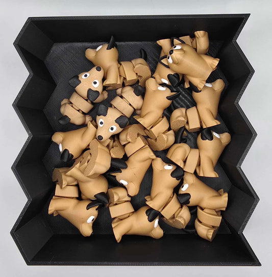 Corgi dogs