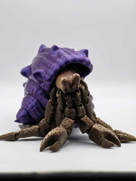 A Hermit Crab