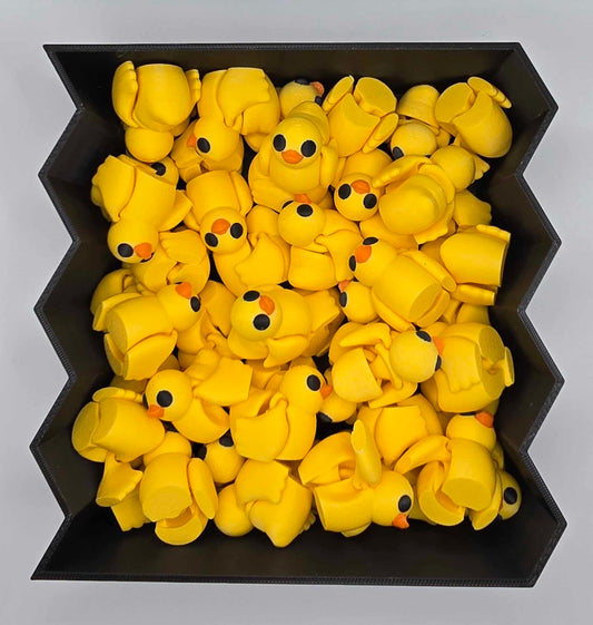 Ducks