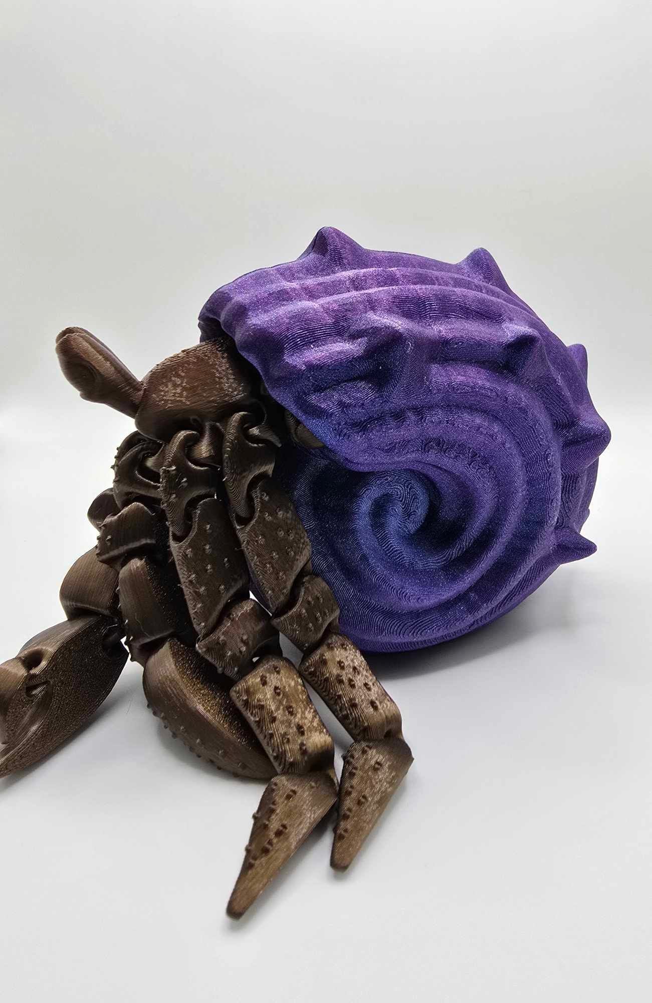 A Hermit Crab