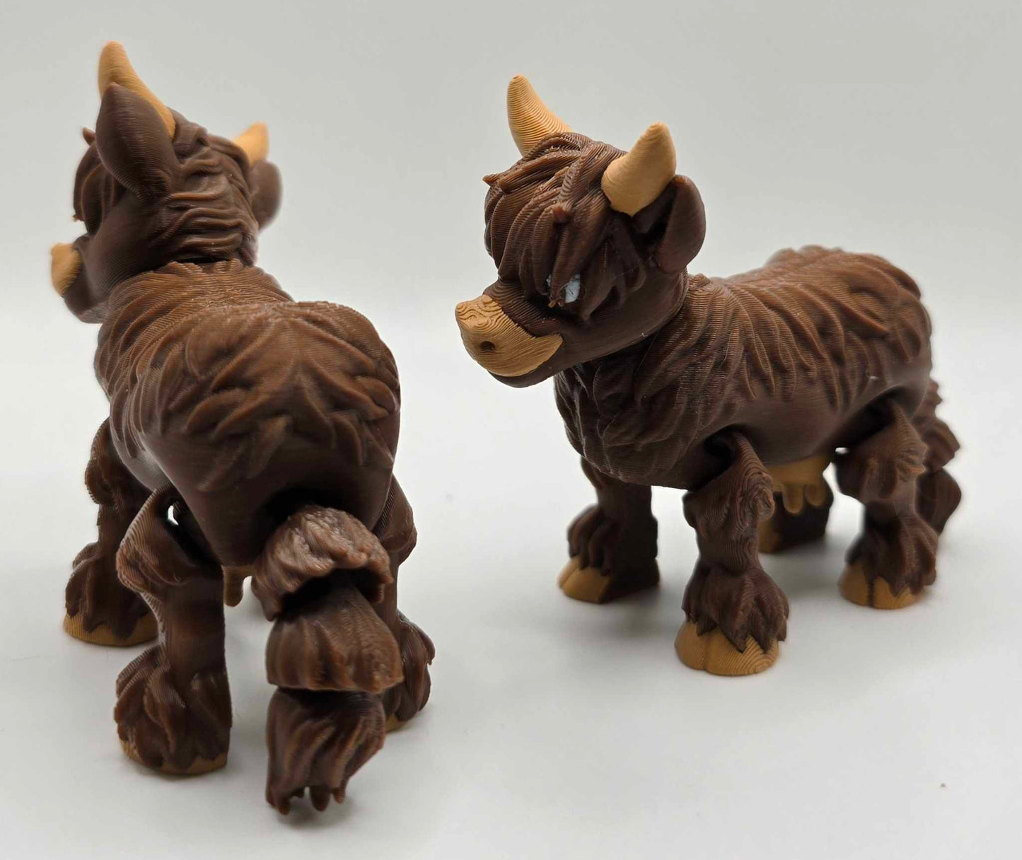 Highland Cows