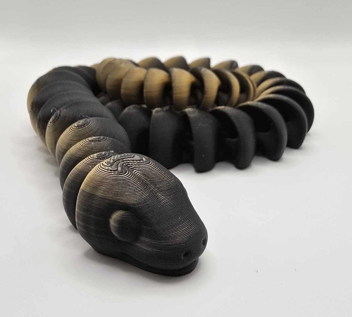 Dual Colored Snake