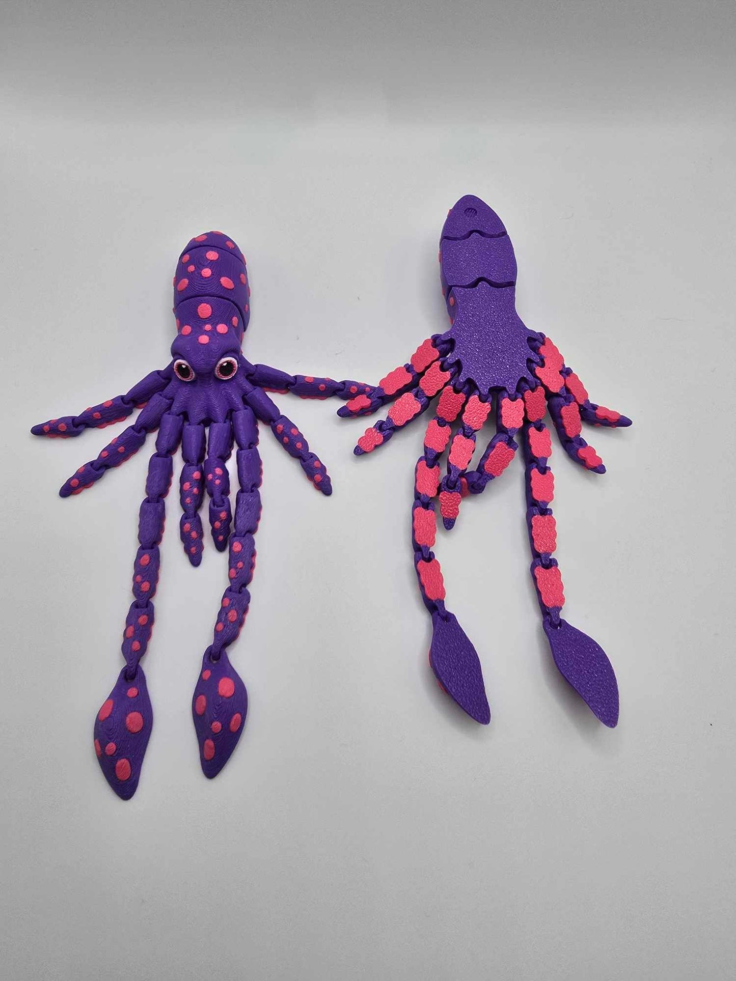 Squids