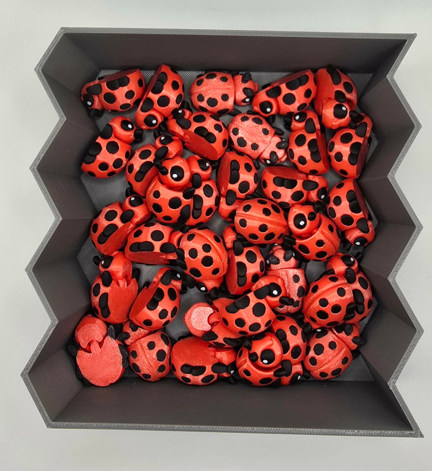 Ladybug