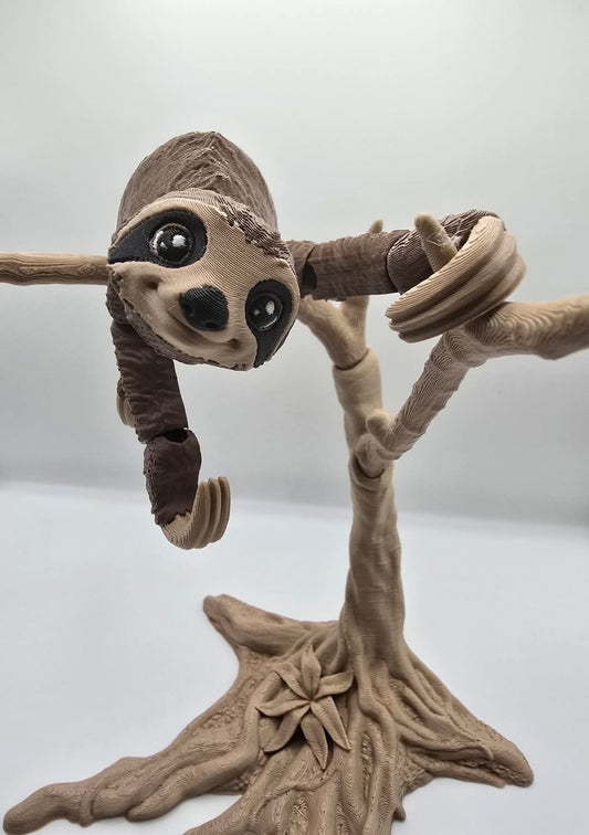 Hanging Sloth on a tree