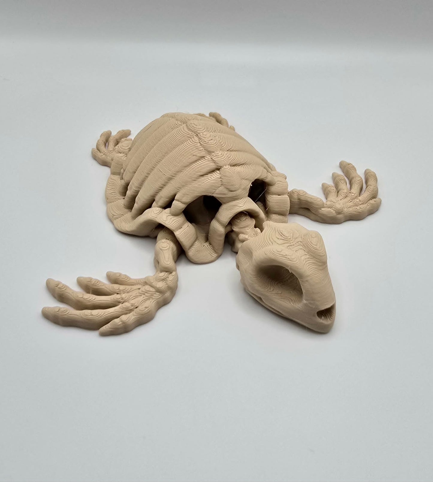 Skeleton Turtle