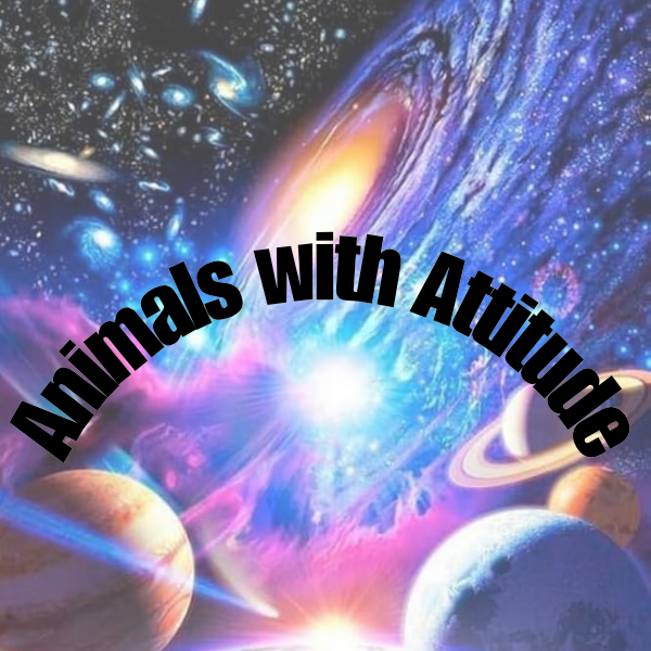 Animals with Attitude