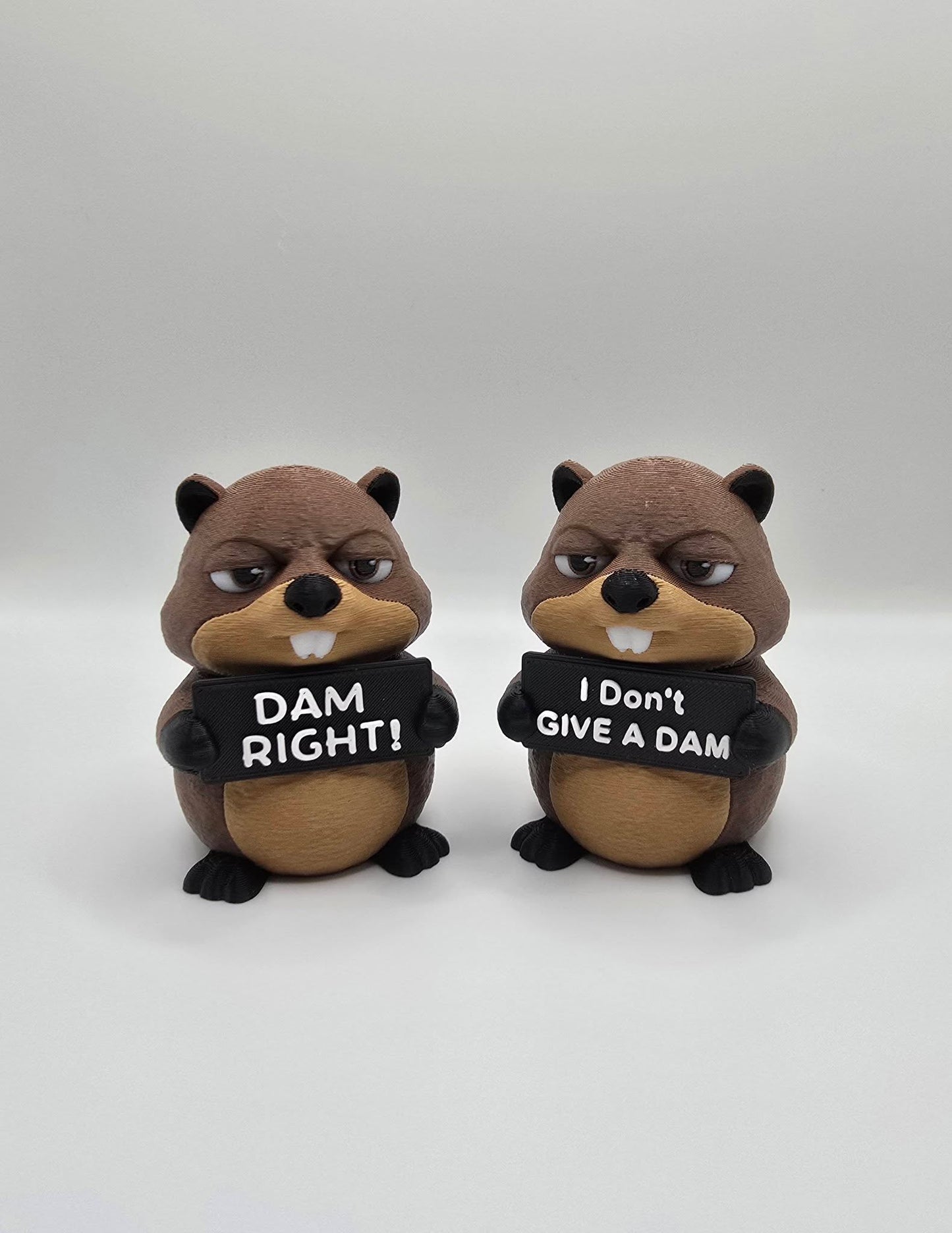 Animals with Attitude