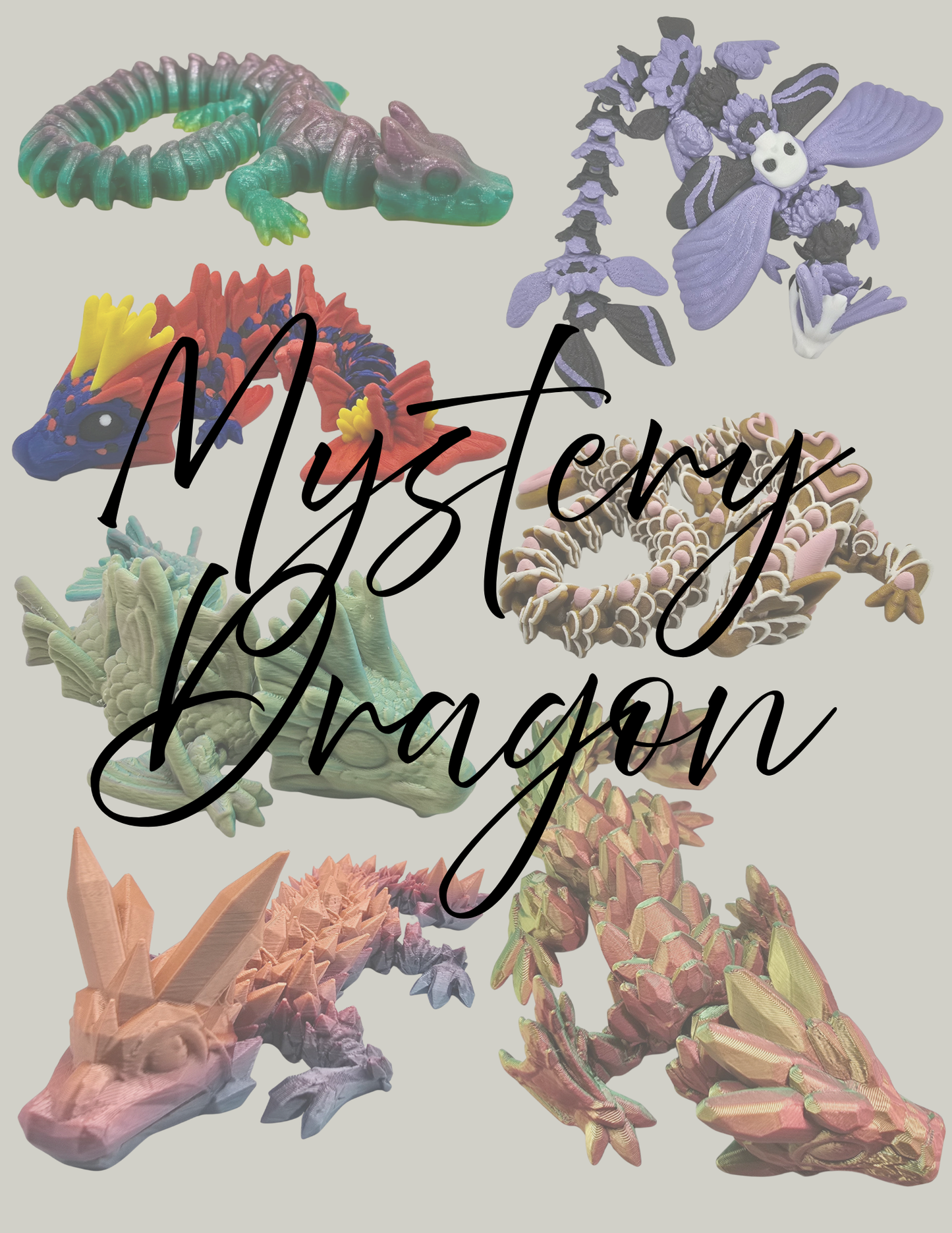 Mystery Book Box w/ a Dragon!