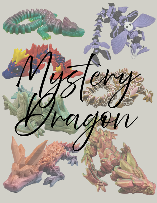 Mystery Book Box w/ a Dragon!