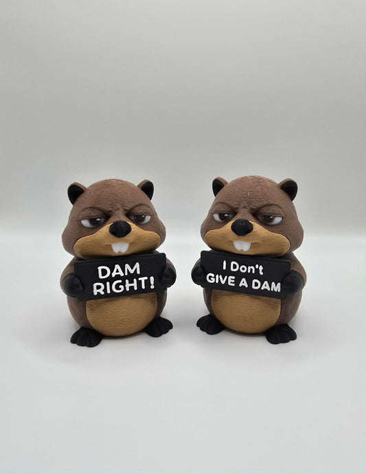 Beaver